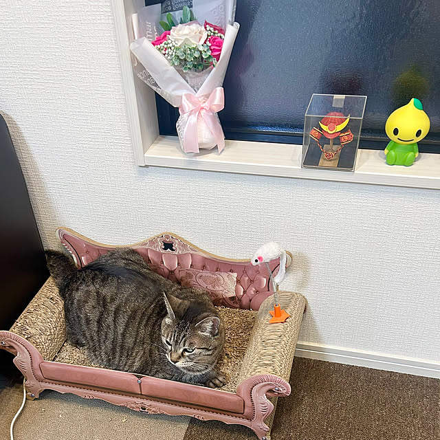 Shinさんの部屋