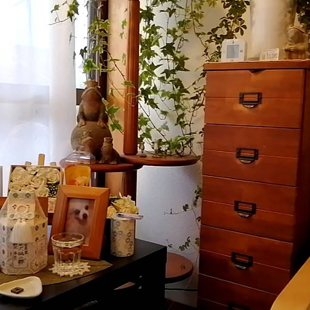 実例写真