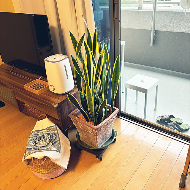 koshiregutyoさんの部屋
