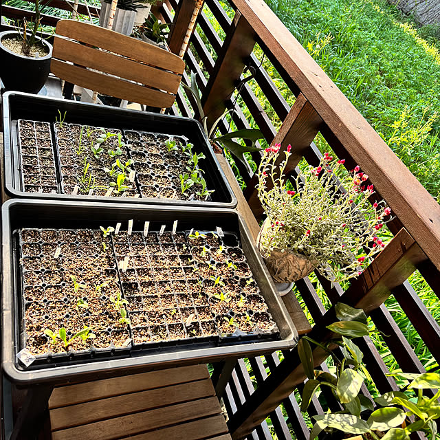 kyoko1124koさんの実例写真