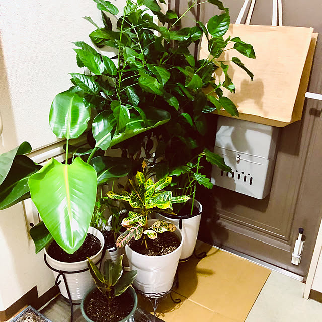 hanachanさんの実例写真
