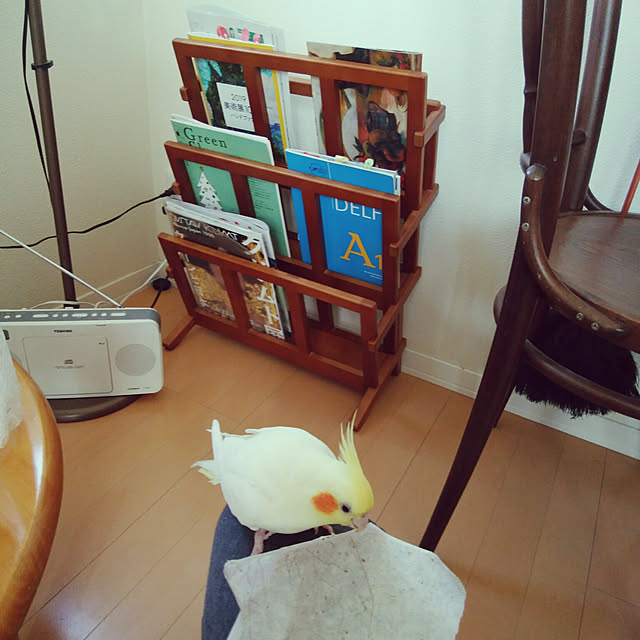 pontaさんの実例写真