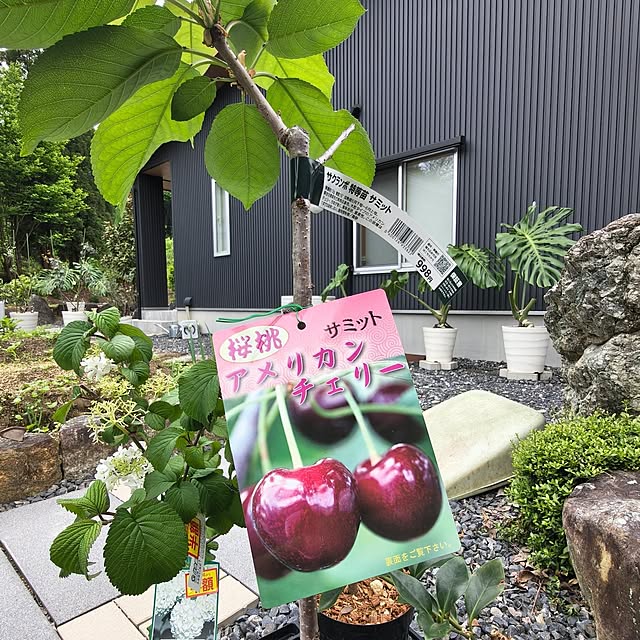 Rubiconさんの実例写真