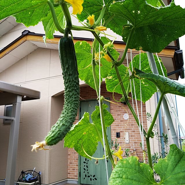 chiiyanさんのお部屋の写真
