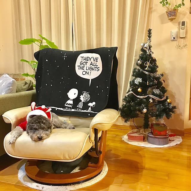 makoriさんの実例写真