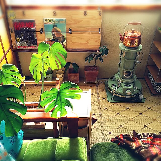 cj69さんの実例写真