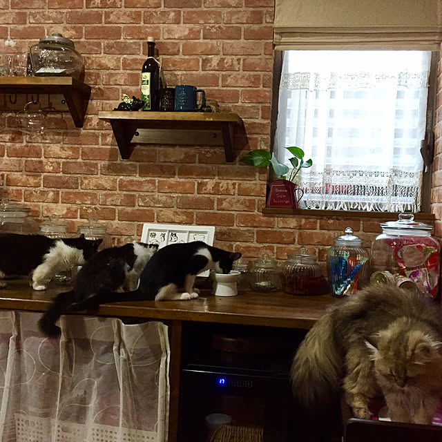 butachanさんの実例写真