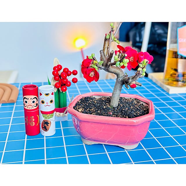 miyoさんの実例写真