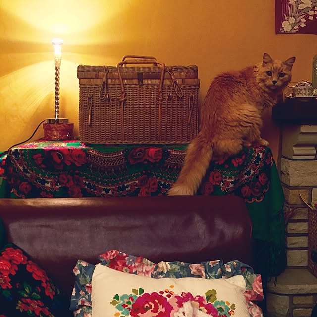 nekohigeさんの実例写真