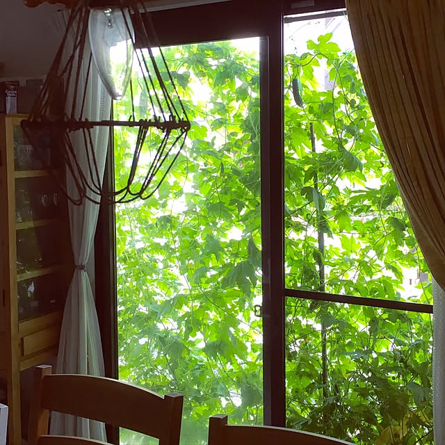 muuさんの実例写真