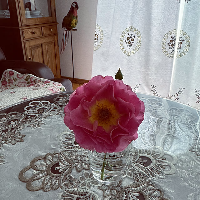 RoseLife5818さんの部屋