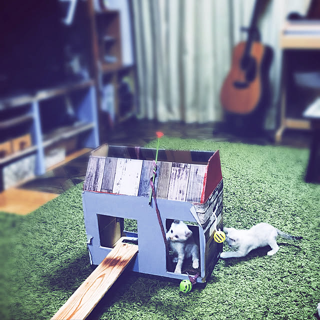 maroさんの実例写真