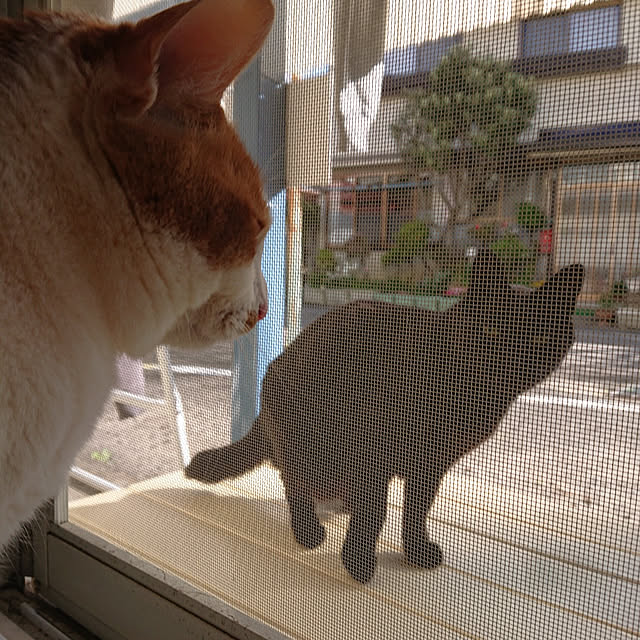 mugi77327732さんの実例写真