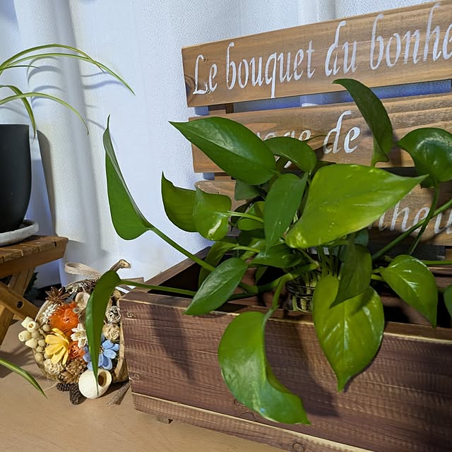 santamaruさんの部屋