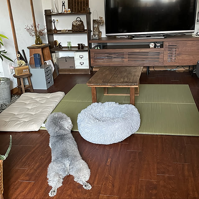 meguko.ryanさんの実例写真