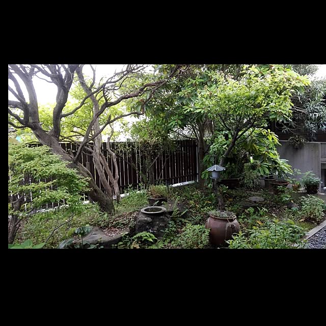 uni0609さんの実例写真