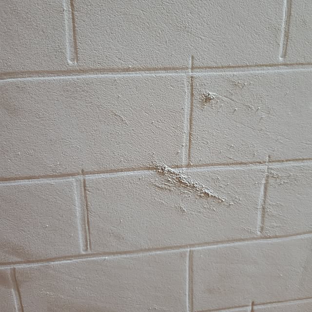 ANTENNAさんの実例写真
