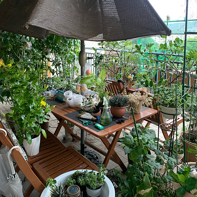 Aqettyさんの部屋