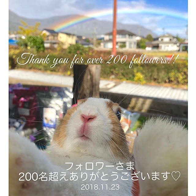 muuさんの実例写真