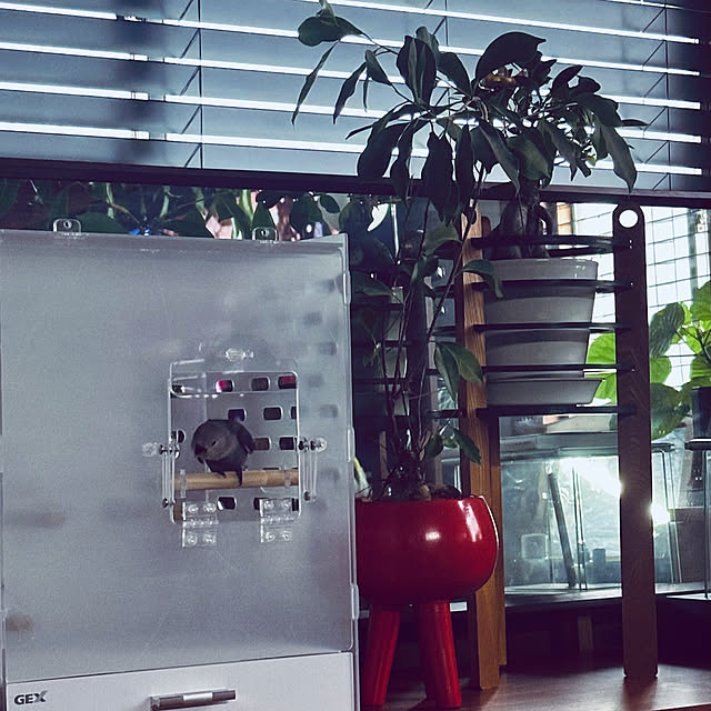 chacoさんの部屋