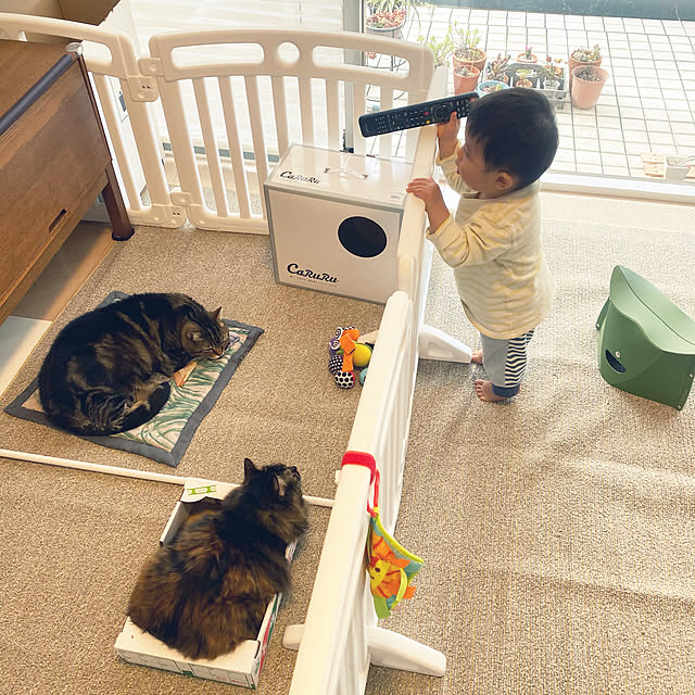 mikomaruさんの実例写真
