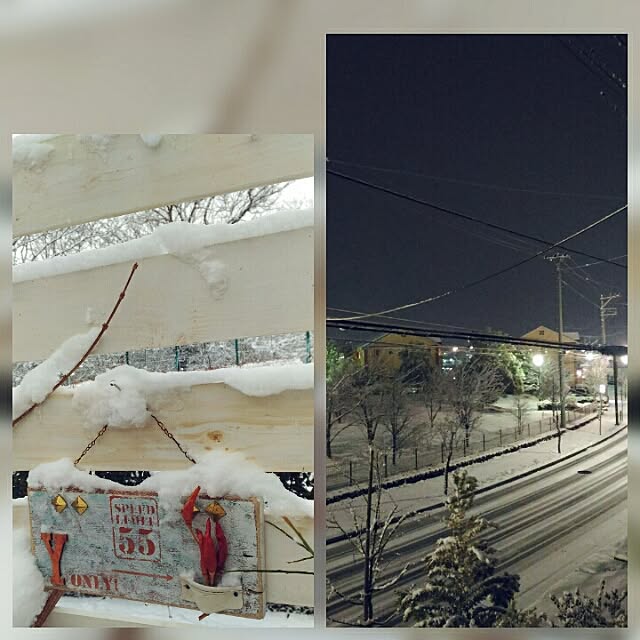 kikusukeさんの実例写真
