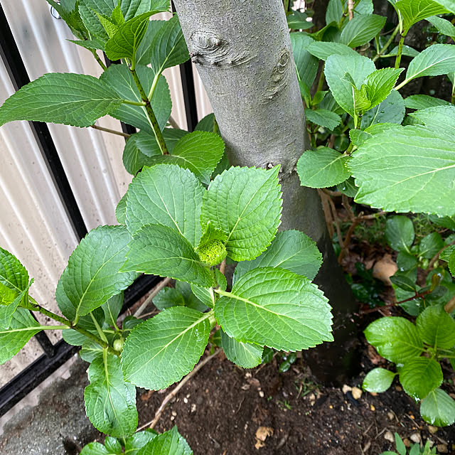 yumirilさんの部屋
