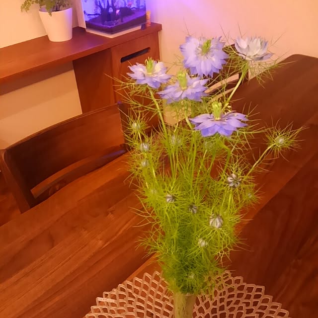 実例写真