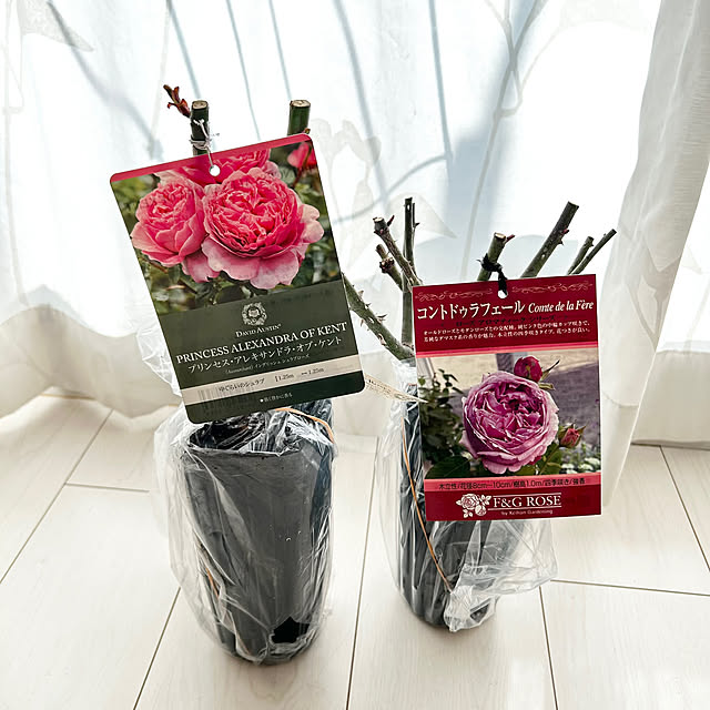 hiromimiさんの部屋