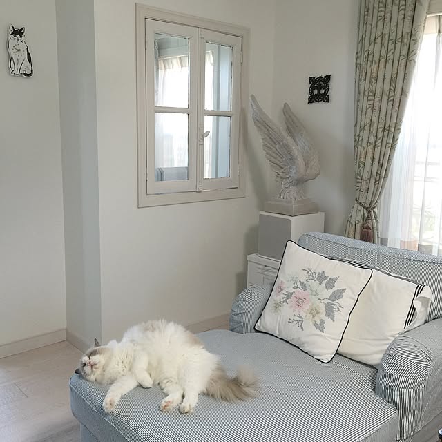yuchiさんの実例写真