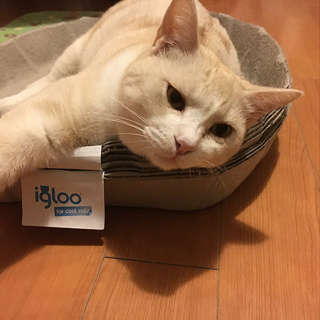 miyabiさんの実例写真
