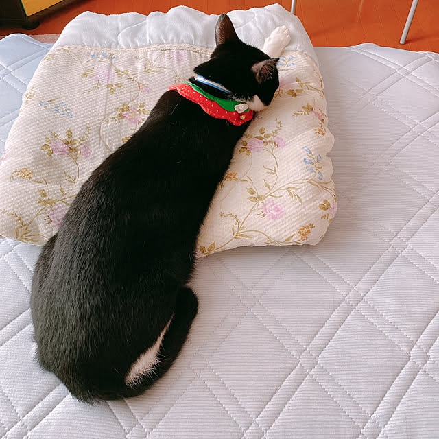 moolさんの実例写真