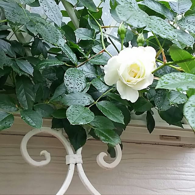 s.mamaさんの実例写真