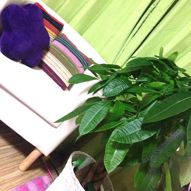Ayaさんの実例写真