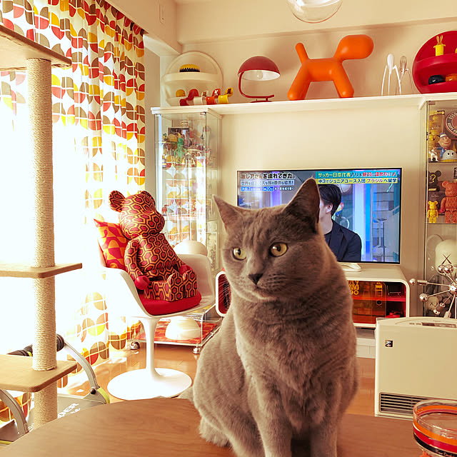 ikettenさんの実例写真