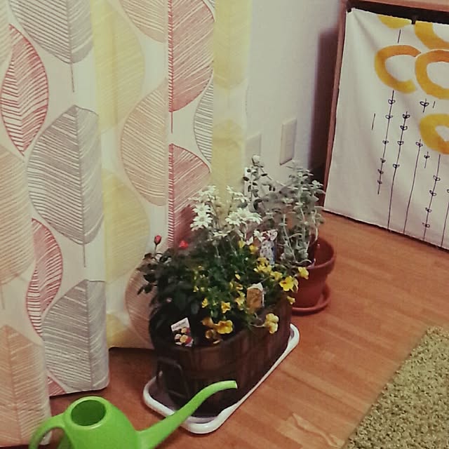 nocry.nohappy6さんの実例写真