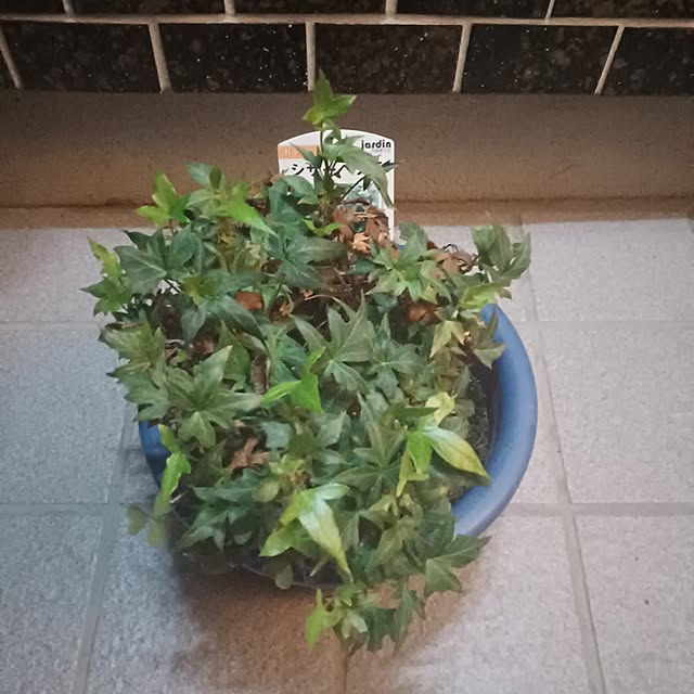 tuushiさんの実例写真