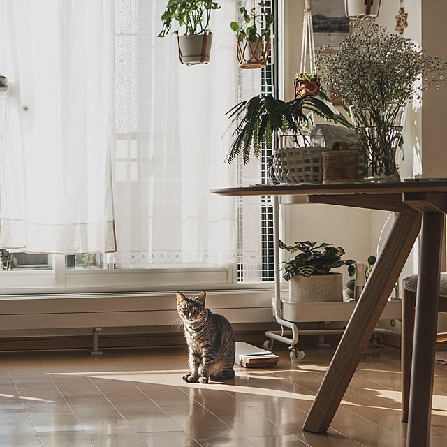 oliveさんの部屋