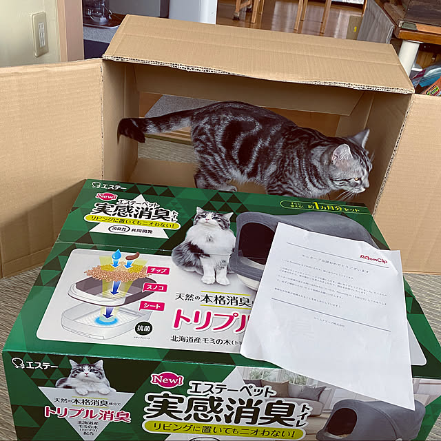 yuzuaoさんの実例写真
