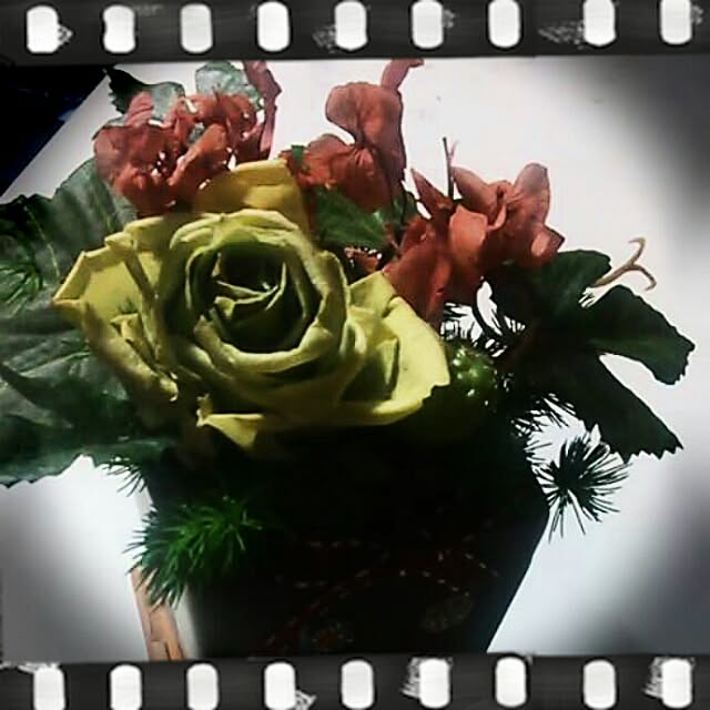 roseさんの実例写真