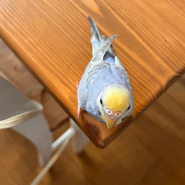 Atsukoさんの部屋