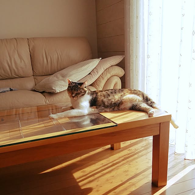 tomo1220さんの実例写真