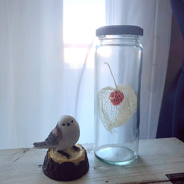 funyatoroさんの実例写真
