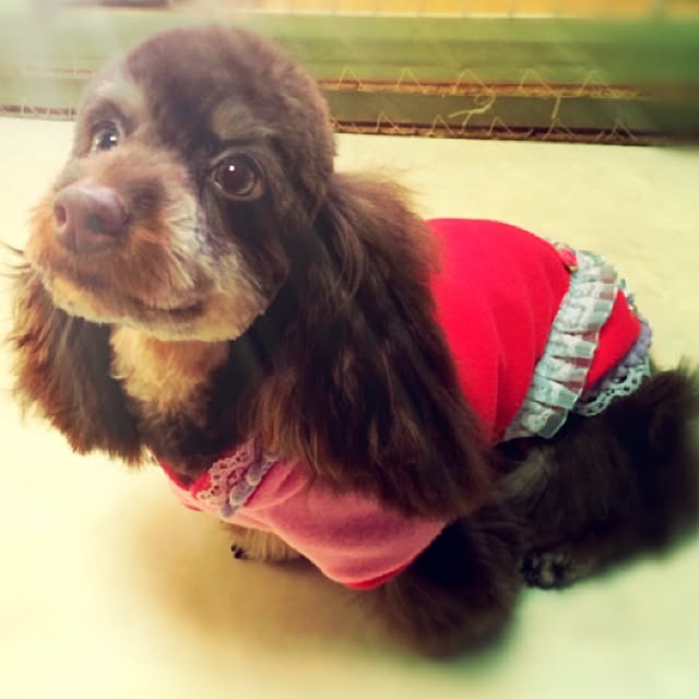 ofusuroさんの実例写真