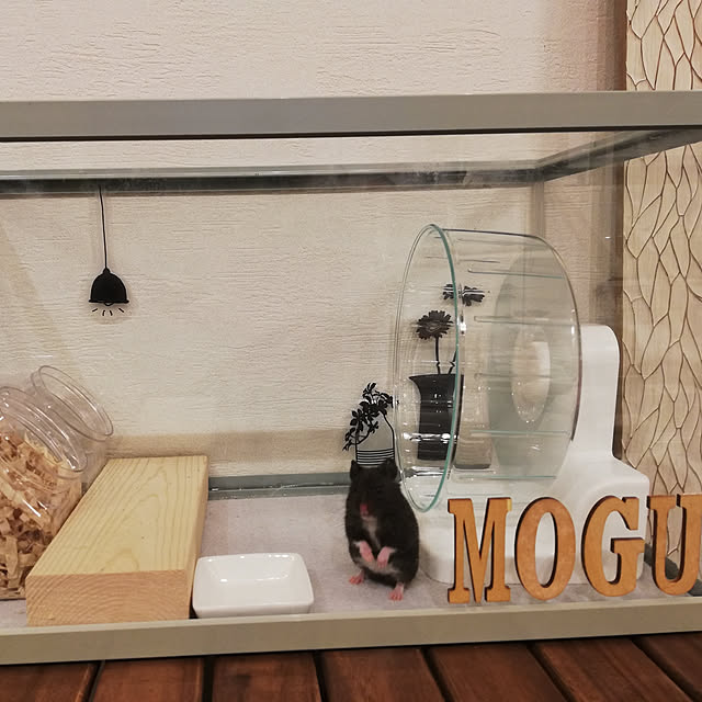 junさんの実例写真