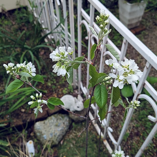 Bienvenueさんの部屋