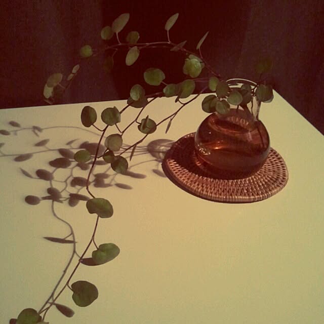 kapock__さんの実例写真