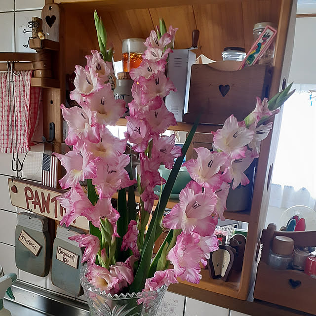 juncoさんの実例写真