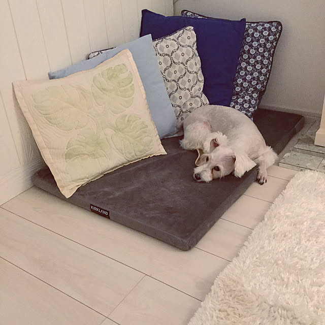 suzyさんの実例写真