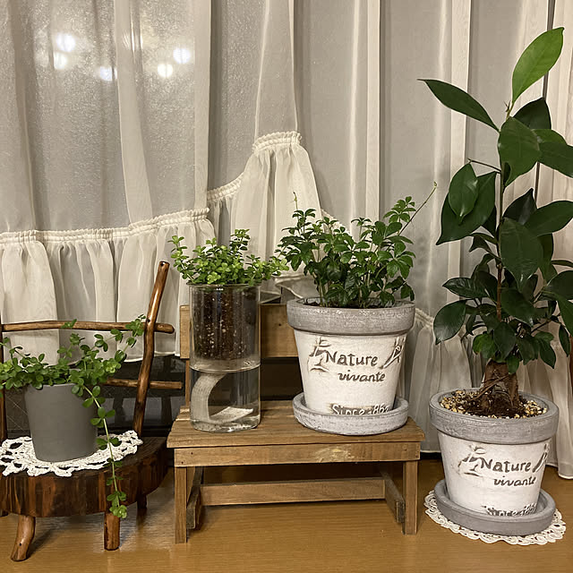 purishiraさんの実例写真